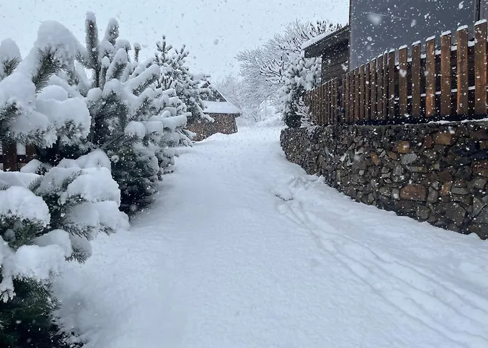 Hirska Vatra Tatil Evi Slavske